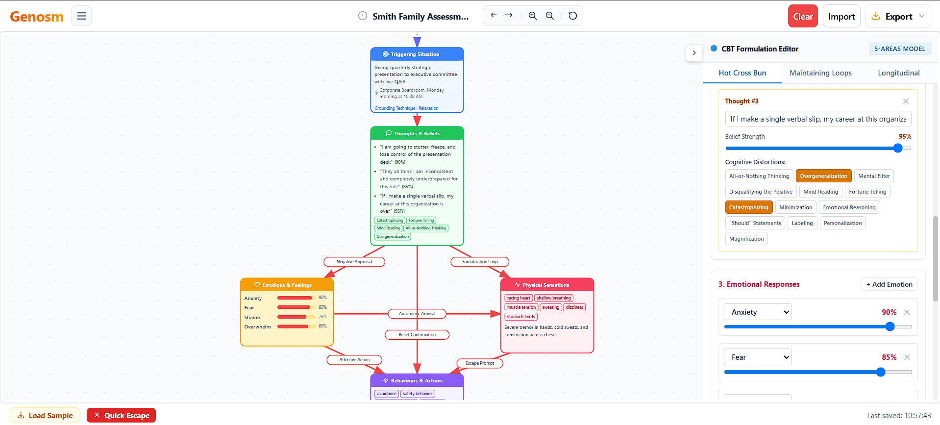 The interface of CBT formulation software