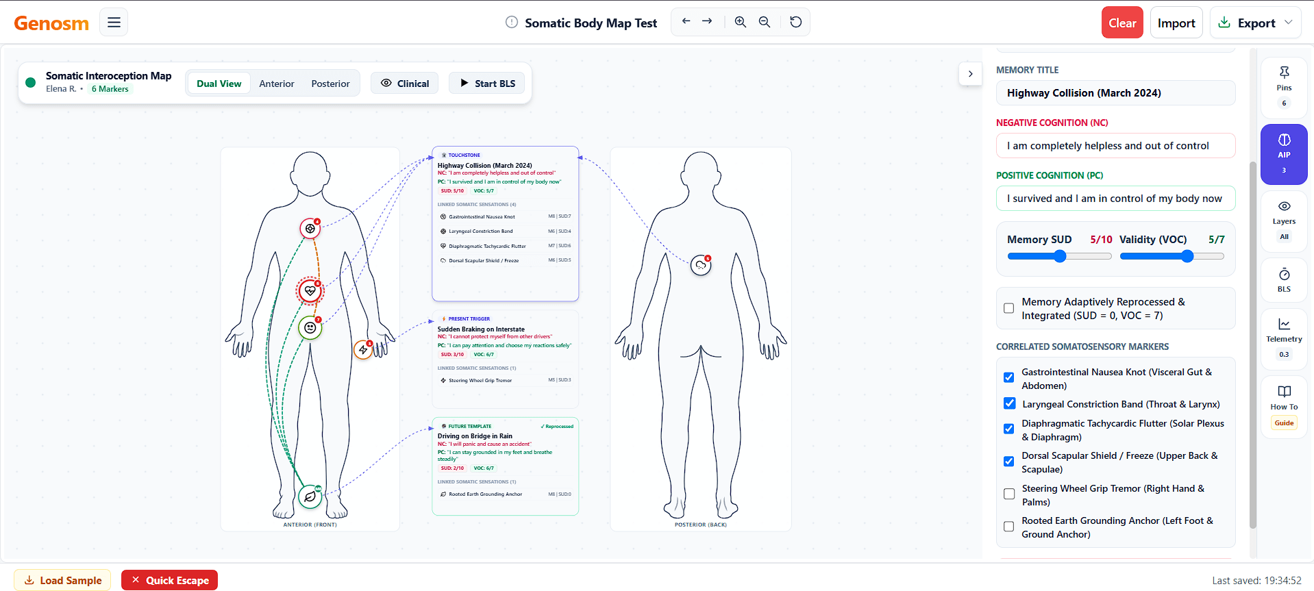 Genosm Somatic Body Mapping Tool Interface - Anterior and Posterior Clinical Formulation Canvas