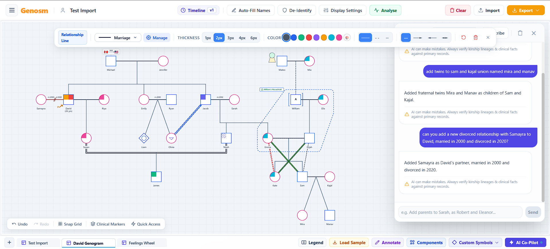 Clinical Genograms & Family Systems Assessment Screenshot