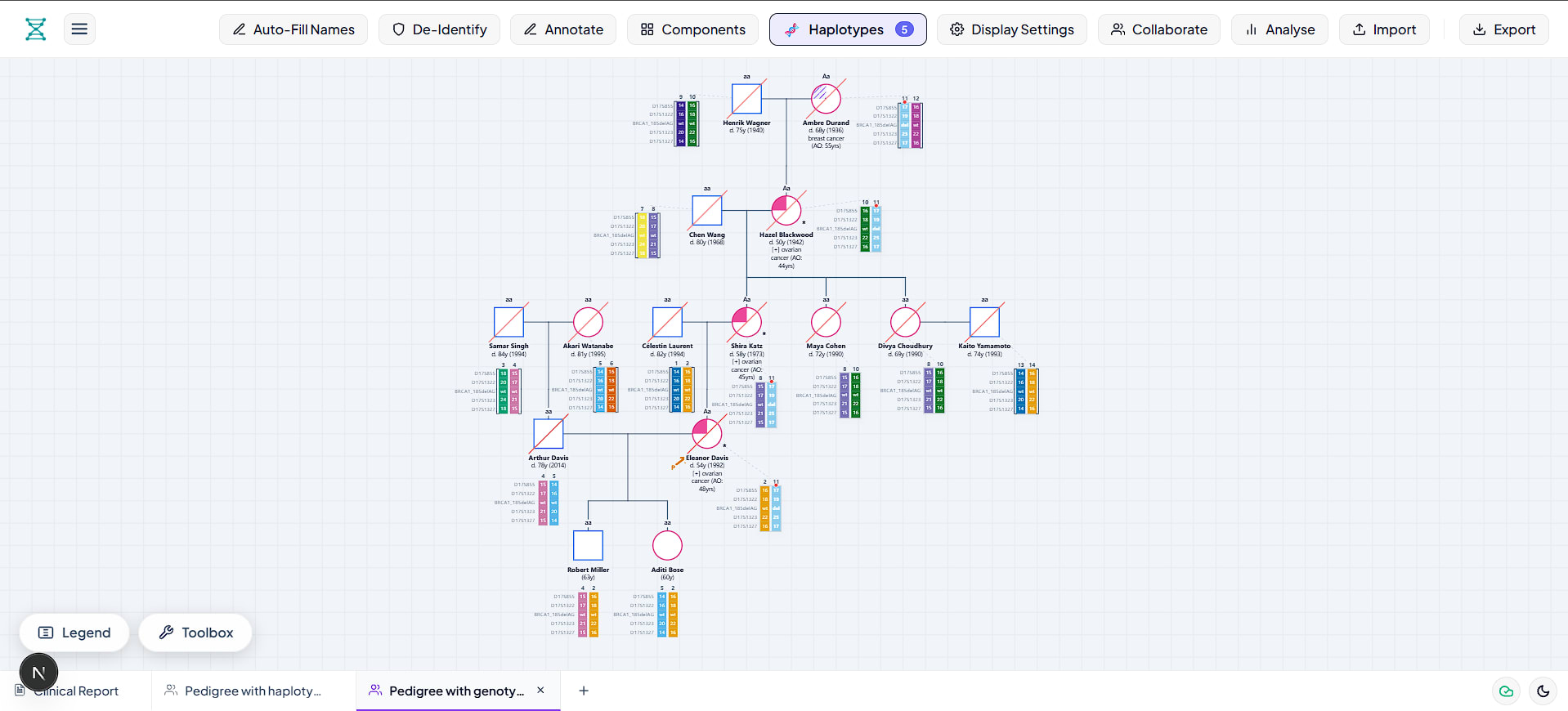 Clinical pedigree chart with phased multi-marker chromosome haplotypes