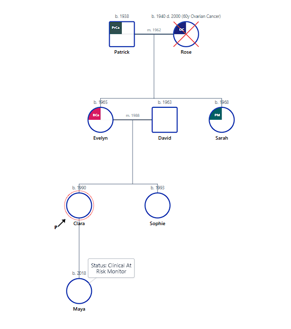 Pedigree tracking HBOC patterns, BRCA1 transmission, and prophylactic markers