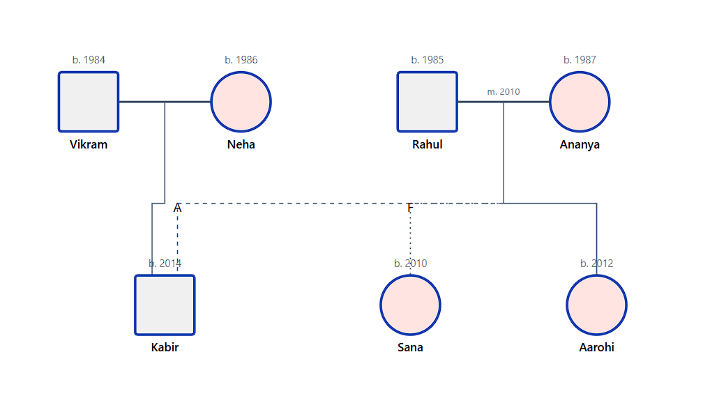 Genogram of the Mehta family showing biological, adoptive, and foster relationships