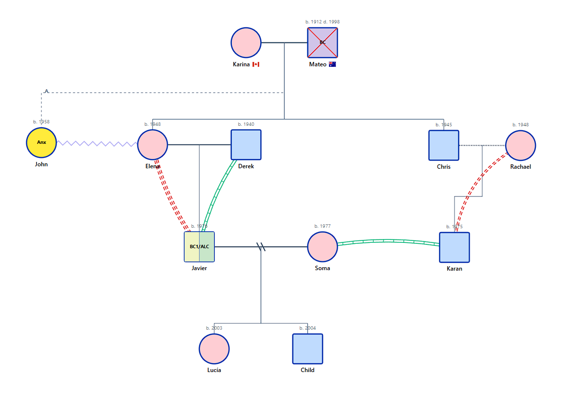 Comprehensive Psychosocial Genogram Example