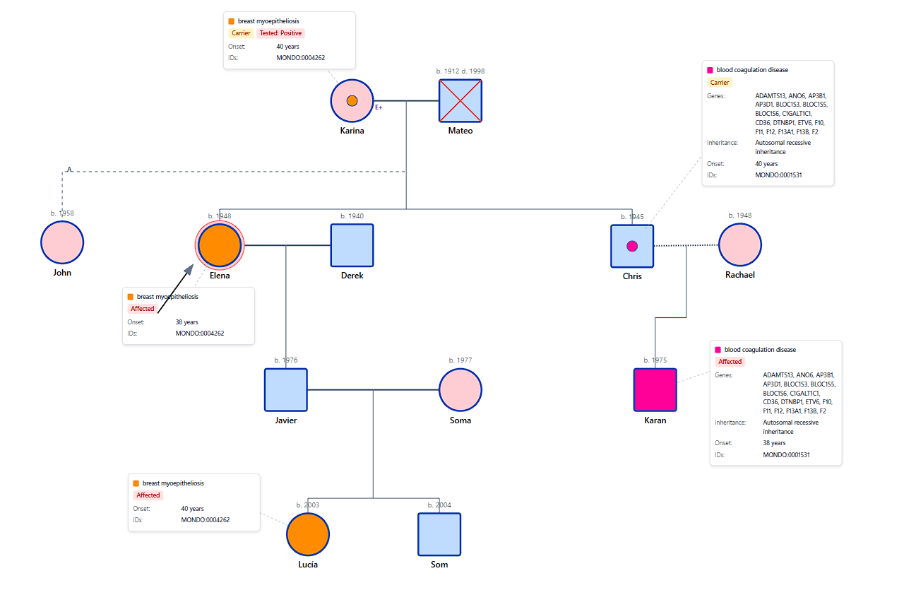 Clinical Genetic Pedigree Example