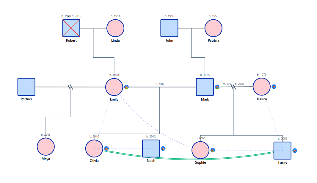 Complex Blended Family Genogram Example