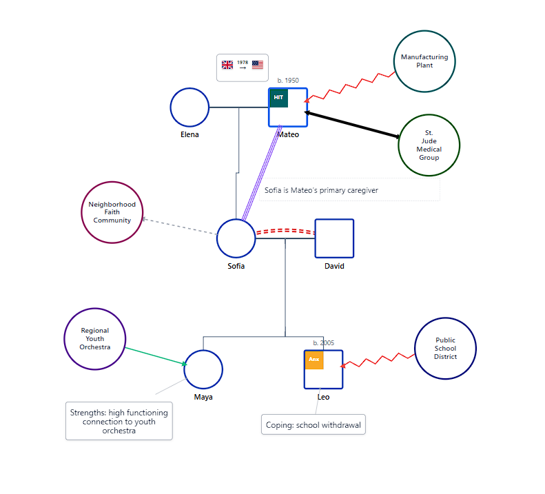 Complex Clinical System Mapping