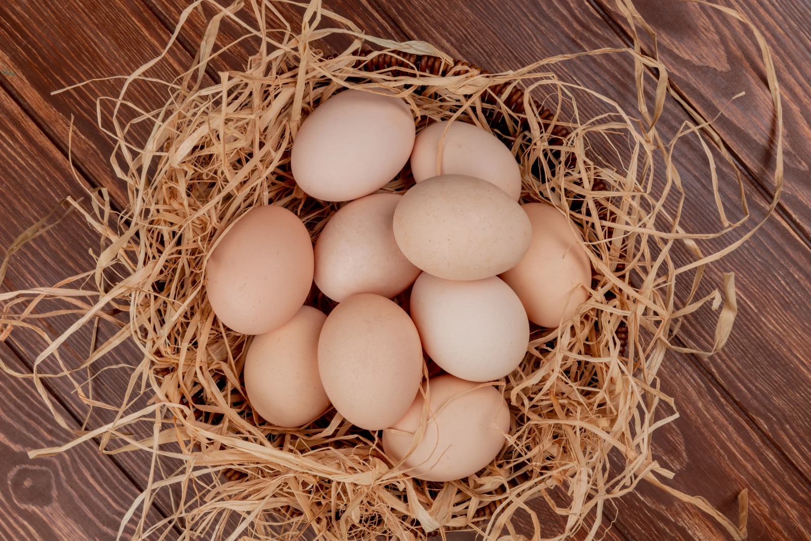 Farm Fresh Eggs