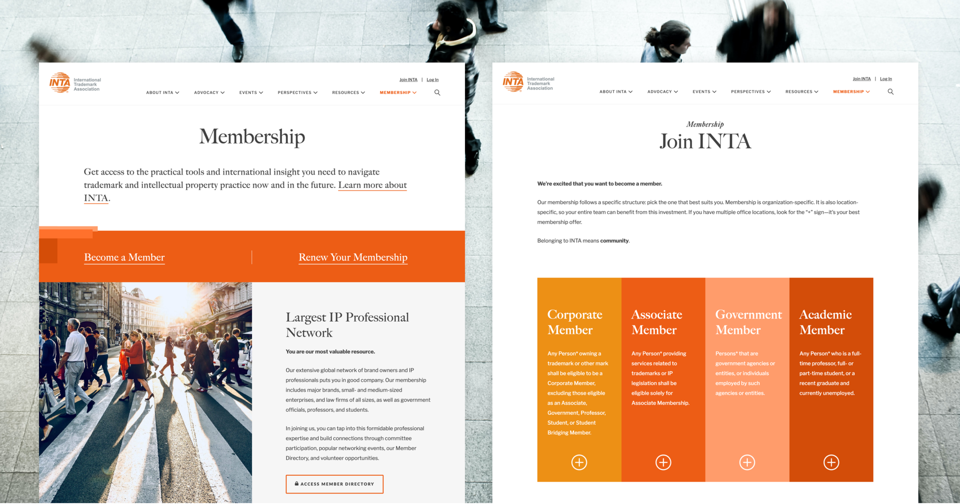 INTA dual page split 2240x1140 Hero