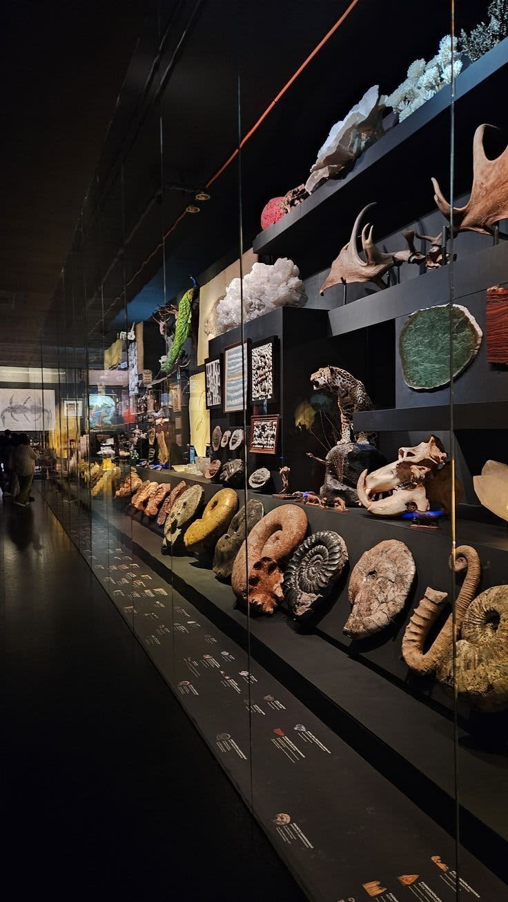 Dehradun — gallery image 8 of 9