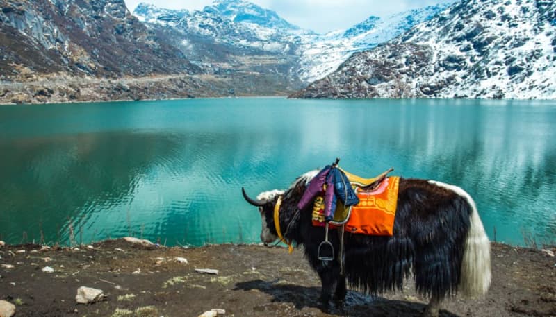 Gangtok — gallery image 2 of 11