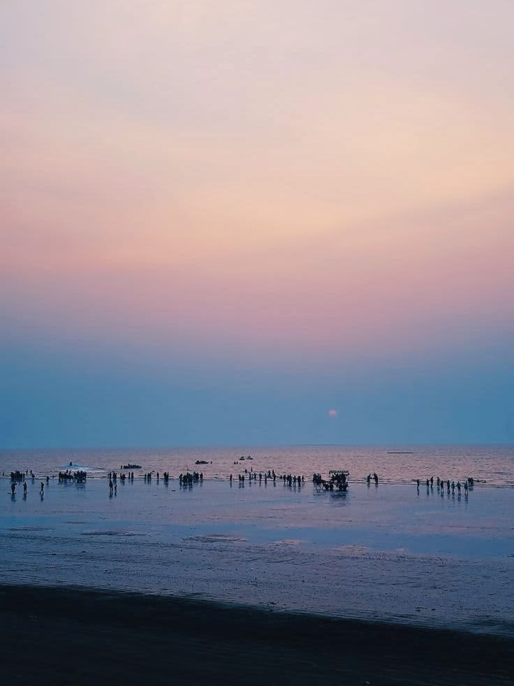 Daman — gallery image 3 of 6