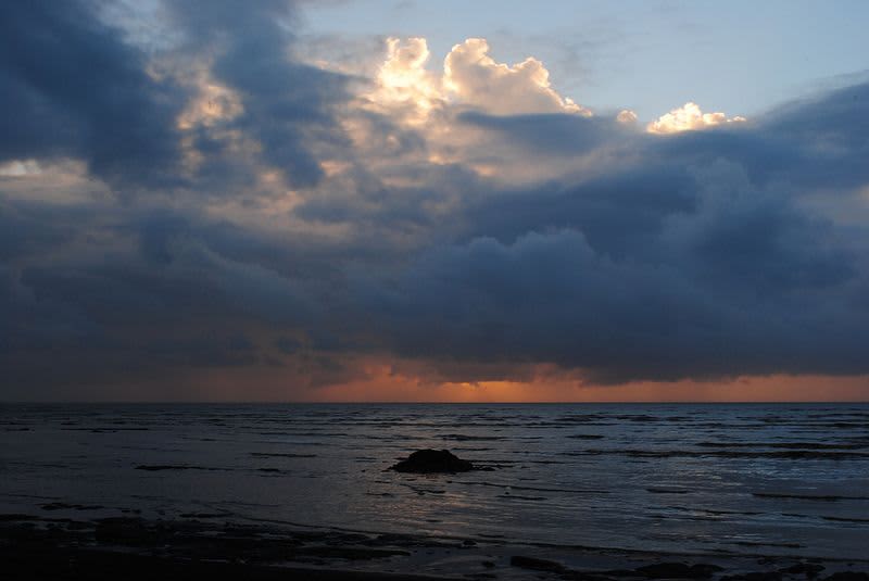 Daman — gallery image 2 of 6