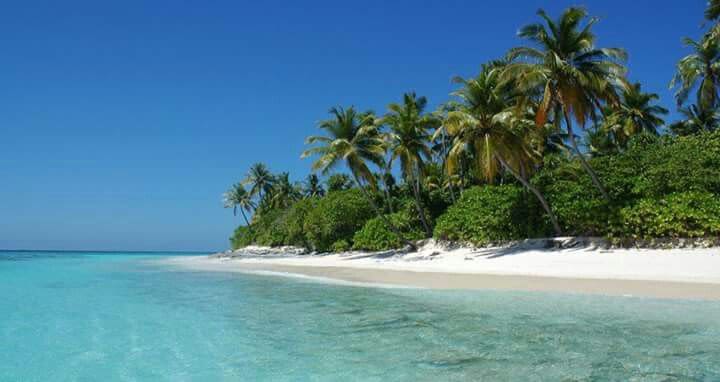 Palolem — gallery image 5 of 9