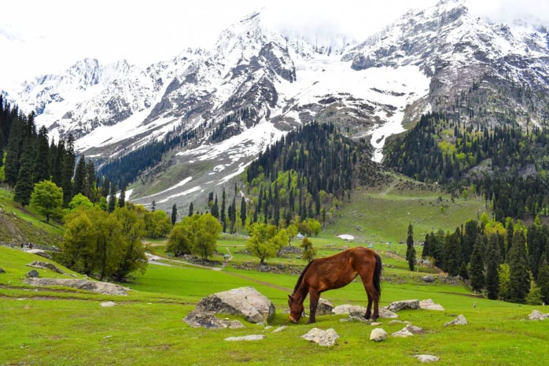 Sonmarg — gallery image 2 of 11