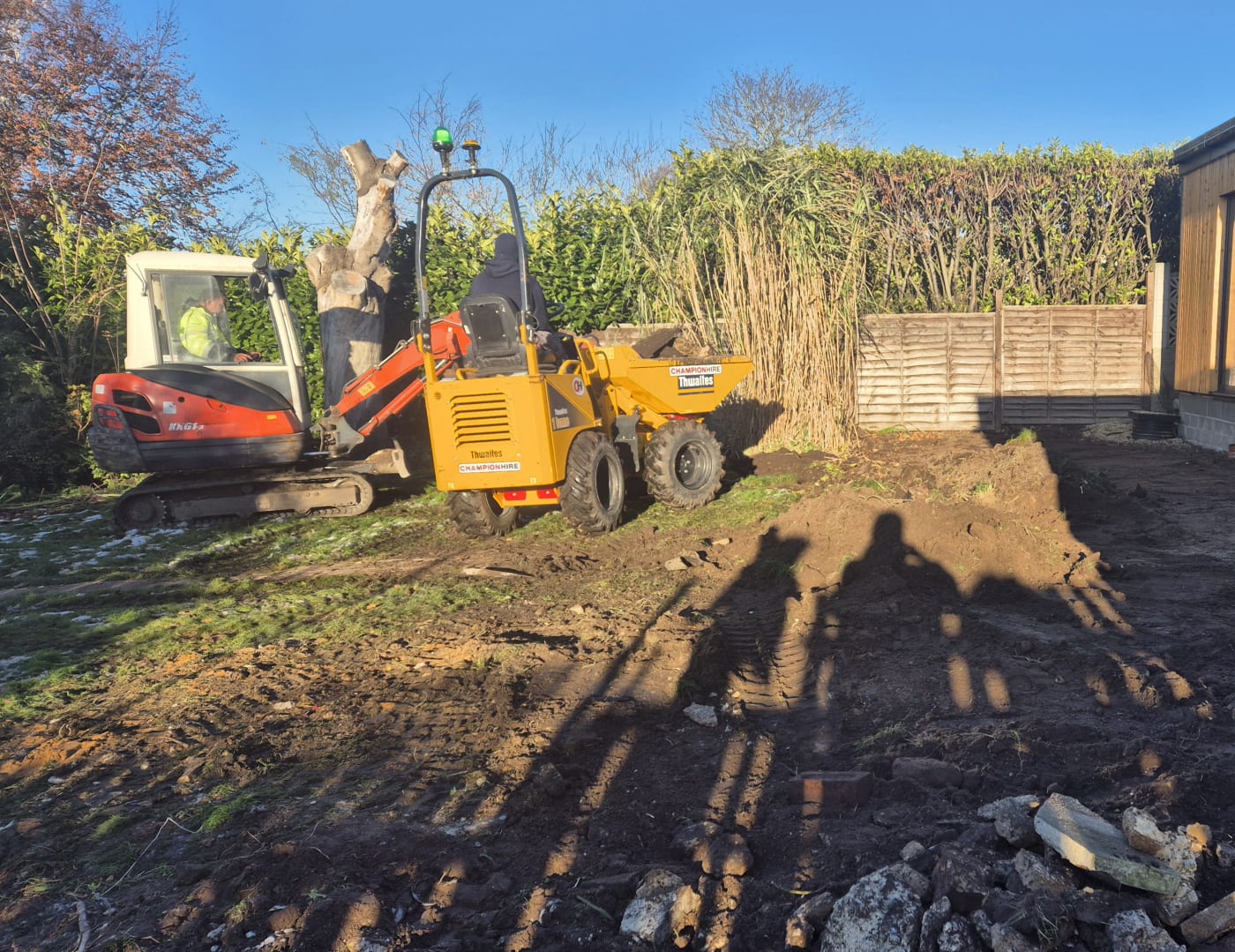Garden Before Transformation