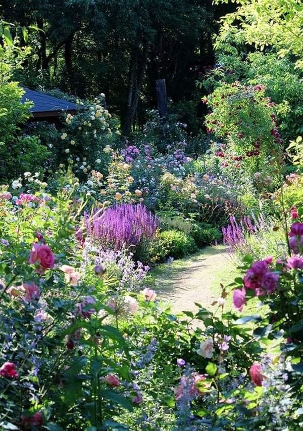 Landscape Gardening Doncaster planning