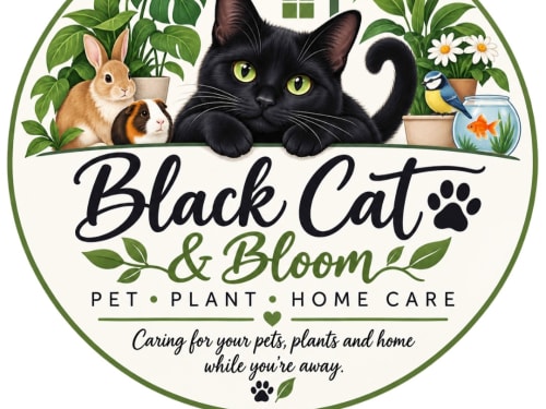 Black Cat & Bloom