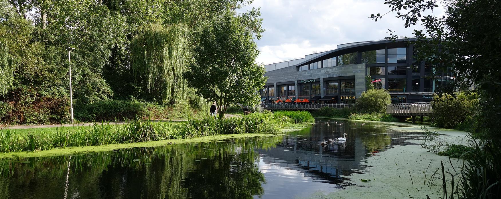 Moving to Essex: The 2026 Guide to the Best Towns to Live In
