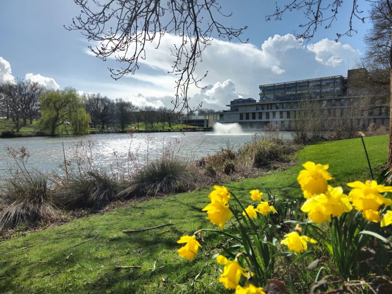15 Free Things to Do in Essex This Weekend (Local's Guide, 2026)