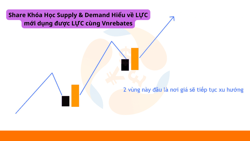 Share Khóa Học Supply & Demand Hiểu về LỰC mới dụng được LỰC cùng Vnrebates