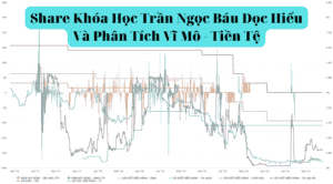 Share Khóa Học Trần Ngọc Báu Đọc Hiểu Và Phân Tích Vĩ Mô - Tiền Tệ