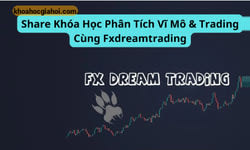 Khóa Học Phân Tích Vĩ Mô & Trading Cùng Fxdreamtrading