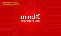 Combo 4 Khóa Học Master Business Và Data Skills Cùng Mindx