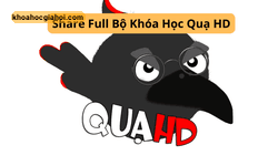 Combo 7 Khóa Học Quạ Hd Mới Nhất