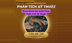 Khóa Học Phân Tích Kỹ Thuật Cùng Kolia Phan