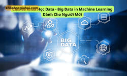 Khóa Học Big Data In Machine Learning Cùng Csc.edu.vn