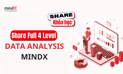Combo 4 Khóa Học Data Analytics Cùng Mindx