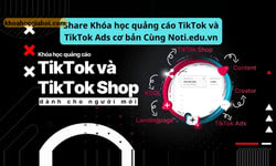 Khóa Học Quảng Cáo Tiktok Và Tiktok Ads Cơ Bản Cùng Noti.edu.vn