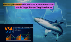 Khóa Học Vsa & Volume Master – Bơi Cùng Cá Mập Cùng Vnrebates