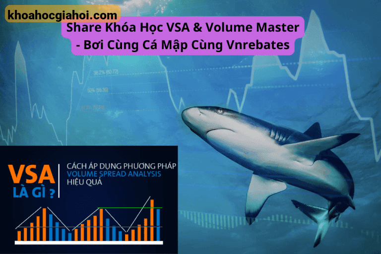 Khóa Học Vsa & Volume Master – Bơi Cùng Cá Mập Cùng Vnrebates