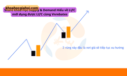 Khóa Học Supply & Demand Hiểu Về Lực Mới Dụng Được Lực Cùng Vnrebates