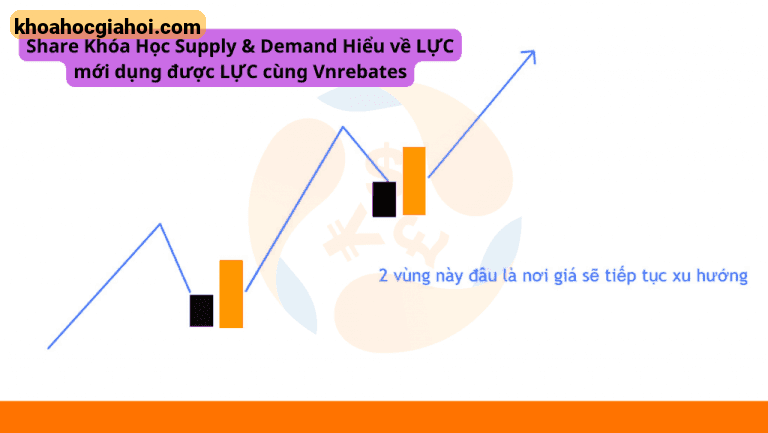 Khóa Học Supply & Demand Hiểu Về Lực Mới Dụng Được Lực Cùng Vnrebates