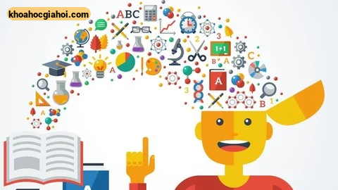 Khóa Học English Vocabulary Học Từ Vựng Lặp Lại Ngắt Quãng (notion)