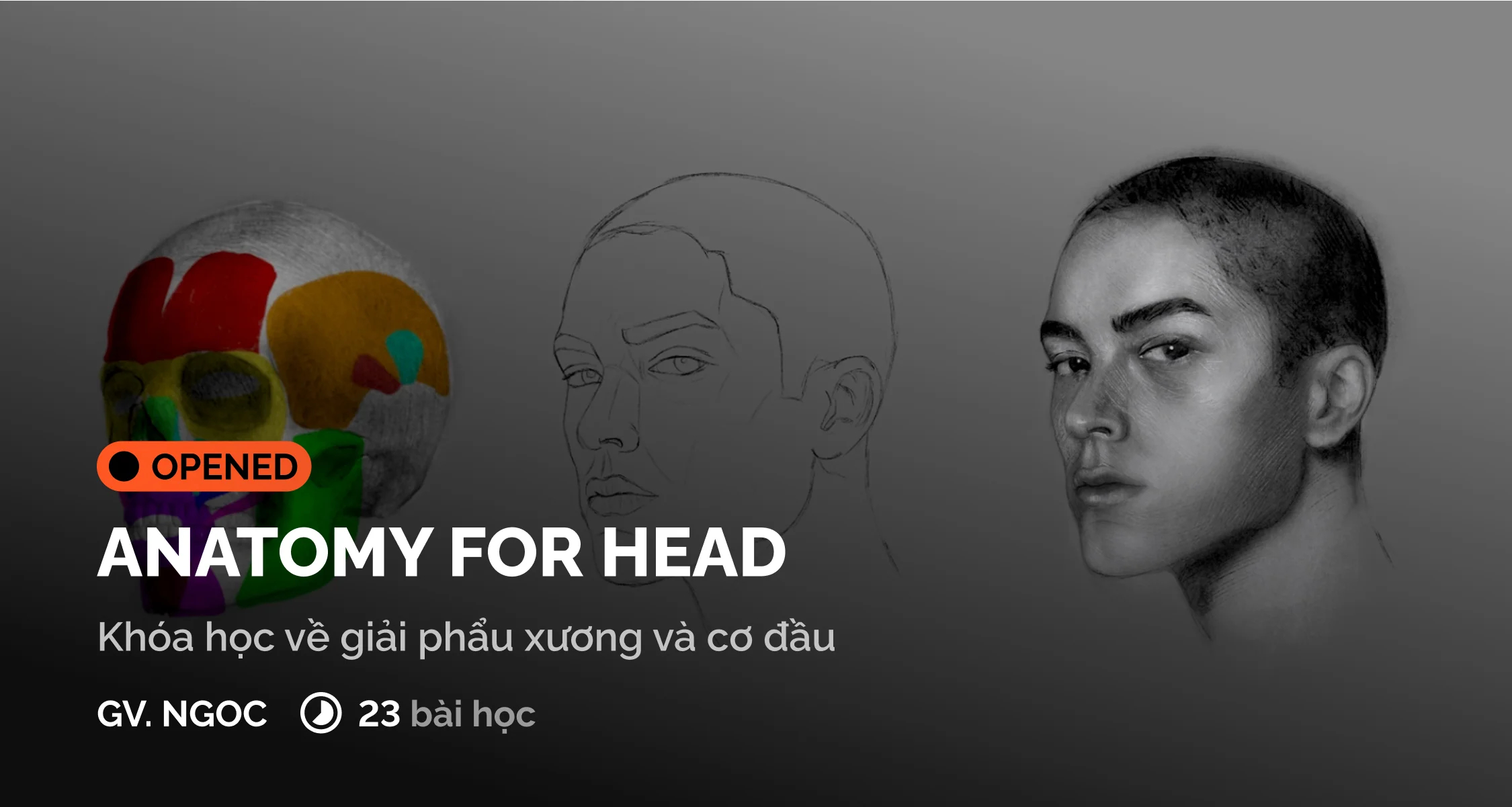 Khóa Học Anatomy For Head Cùng Digiart Academy