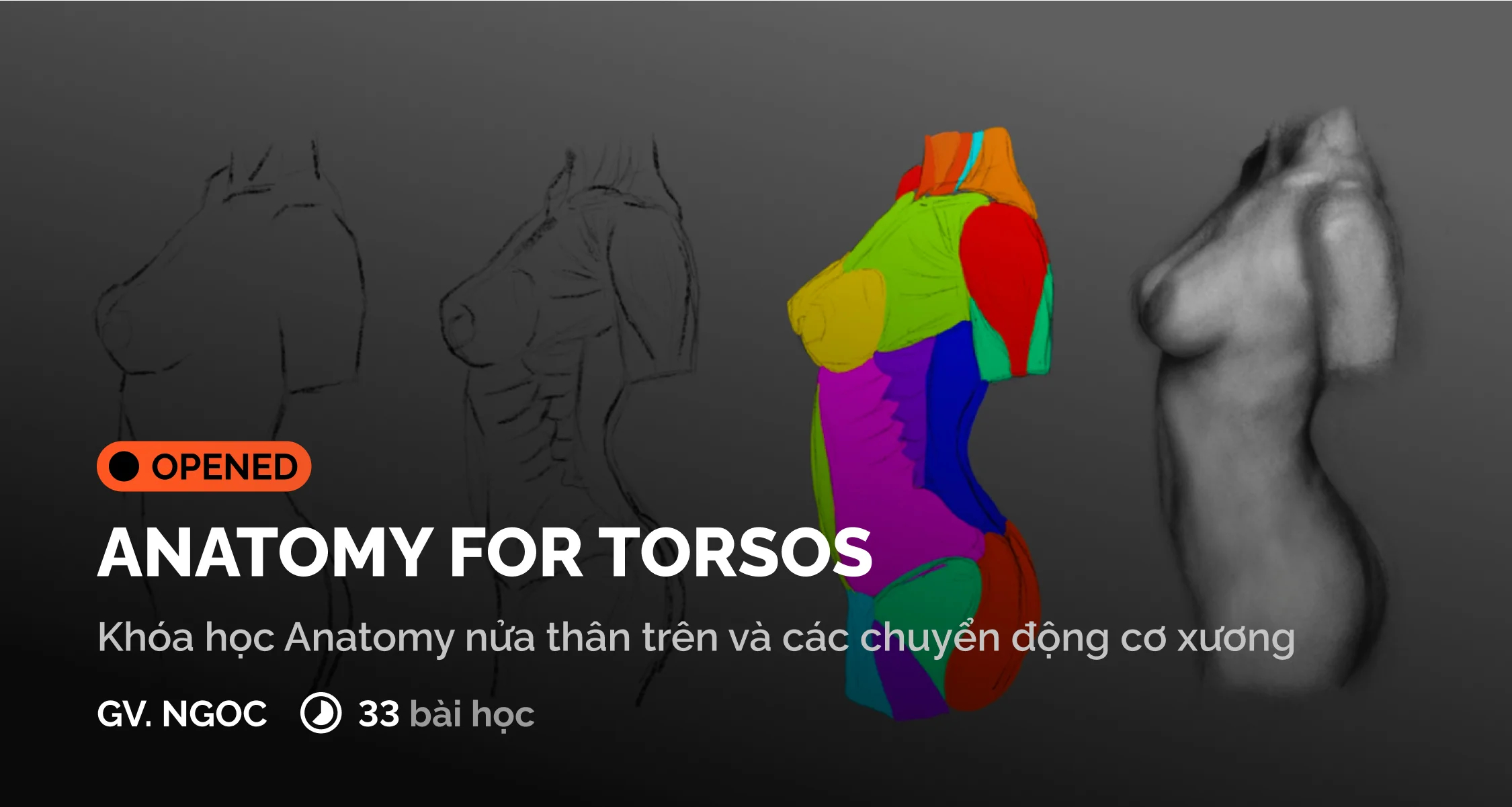 Khóa Học Anatomy For Torsos Cùng Digiart Academy