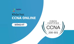 Khóa Học Cisco Certified Network Associate ( Ccna ) Cùng Ngn Networking Academy