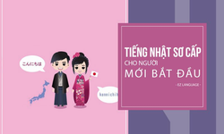 Khóa Học Tiếng Nhật Sơ Cấp Cho Người Mới Bắt Đầu