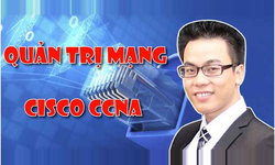Khóa Học Quản Trị Mạng Cisco Ccna
