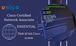 Khóa Học Ccna 200-301 : Essential
