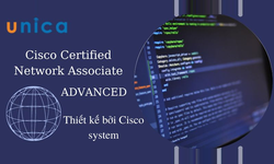 Khóa Học Ccna 200-301 : Advanced
