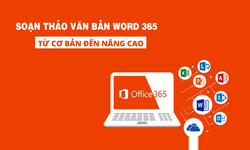 Khóa Học Soạn Thảo Văn Bản Word 365 Từ Cơ Bản Đến Nâng Cao