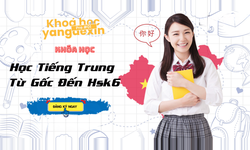 Khóa Học Tiếng Trung Yangdexin Học Từ Gốc Đến Hsk6