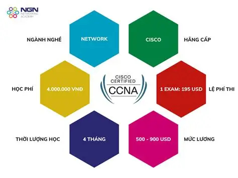 Combo 4 Khóa Học Trở Thành System & Network Engineer Chuyên Nghiệp Cùng NGN Networking Academy