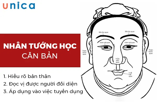 Khóa Học Nhân Tướng Học Căn Bản Hay Nhất
