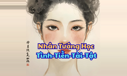 Khóa Học Nhân Tướng Tình Tiền Tài Tật – Khám Phá Cuộc Đời Qua Tướng Pháp