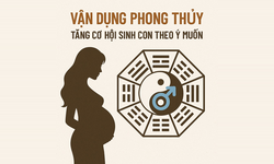 Khóa Học Vận Dụng Phong Thủy Tăng Cơ Hội Sinh Con Theo Ý Muốn